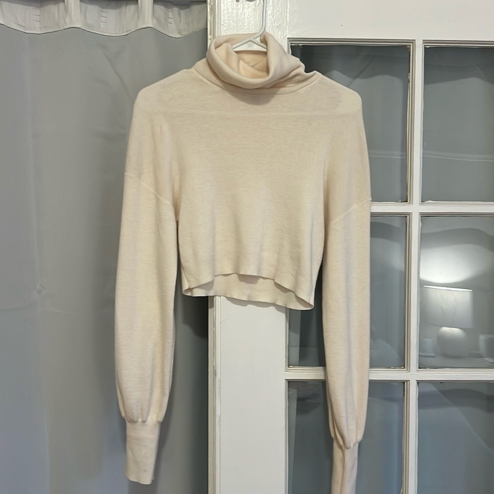 Aritzia cropped wool turtleneck sweater
